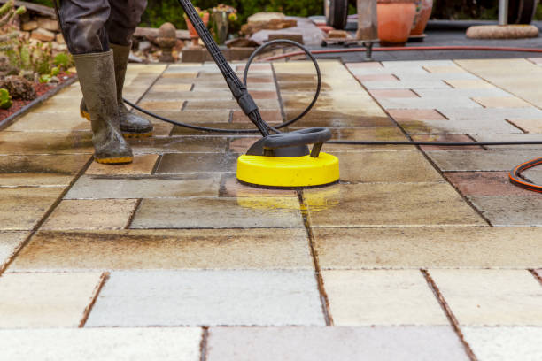 Best Building Exterior Washing  in Westwood, PA